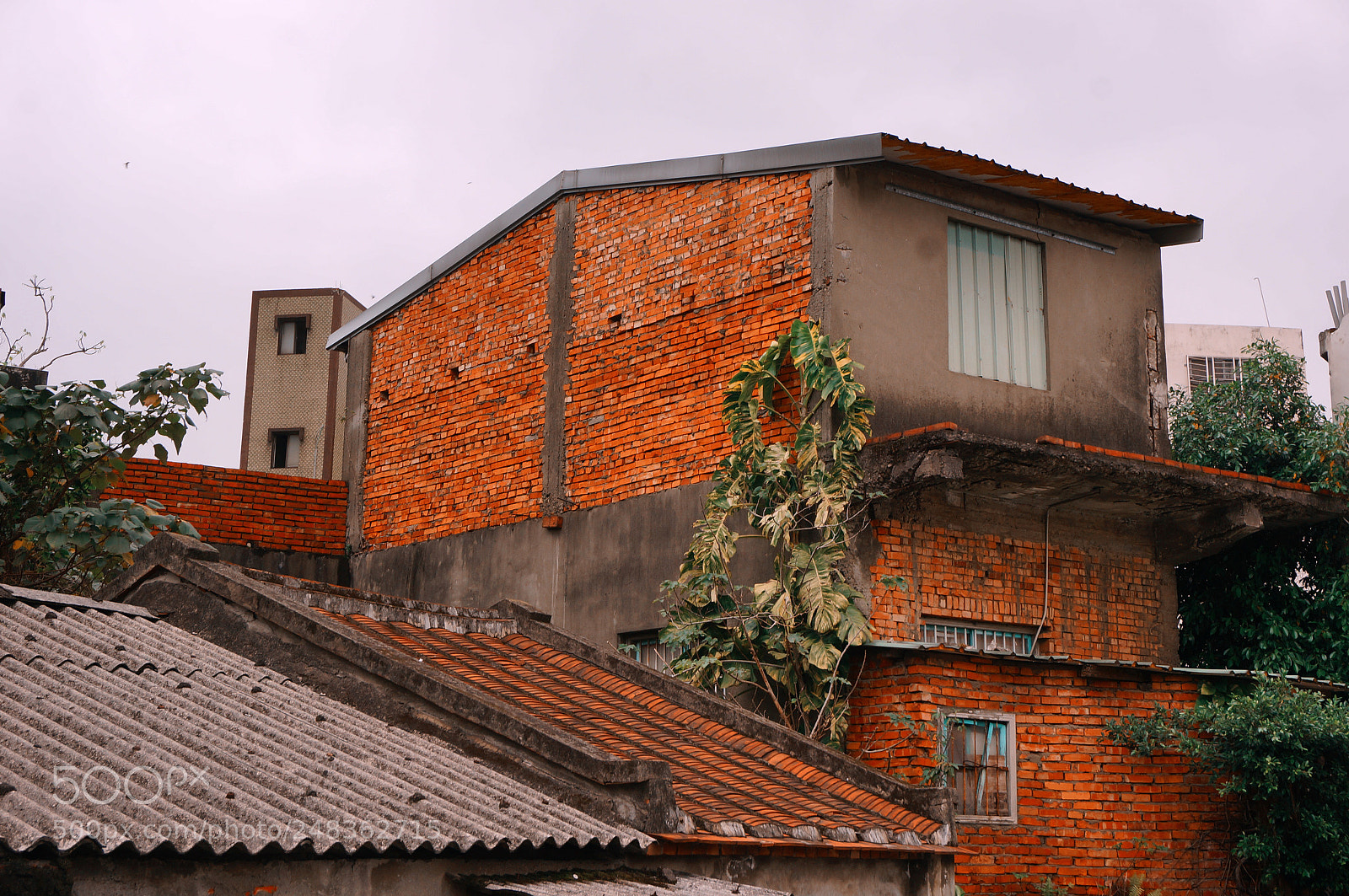 Sony Alpha NEX-5R sample photo. Untitled photography