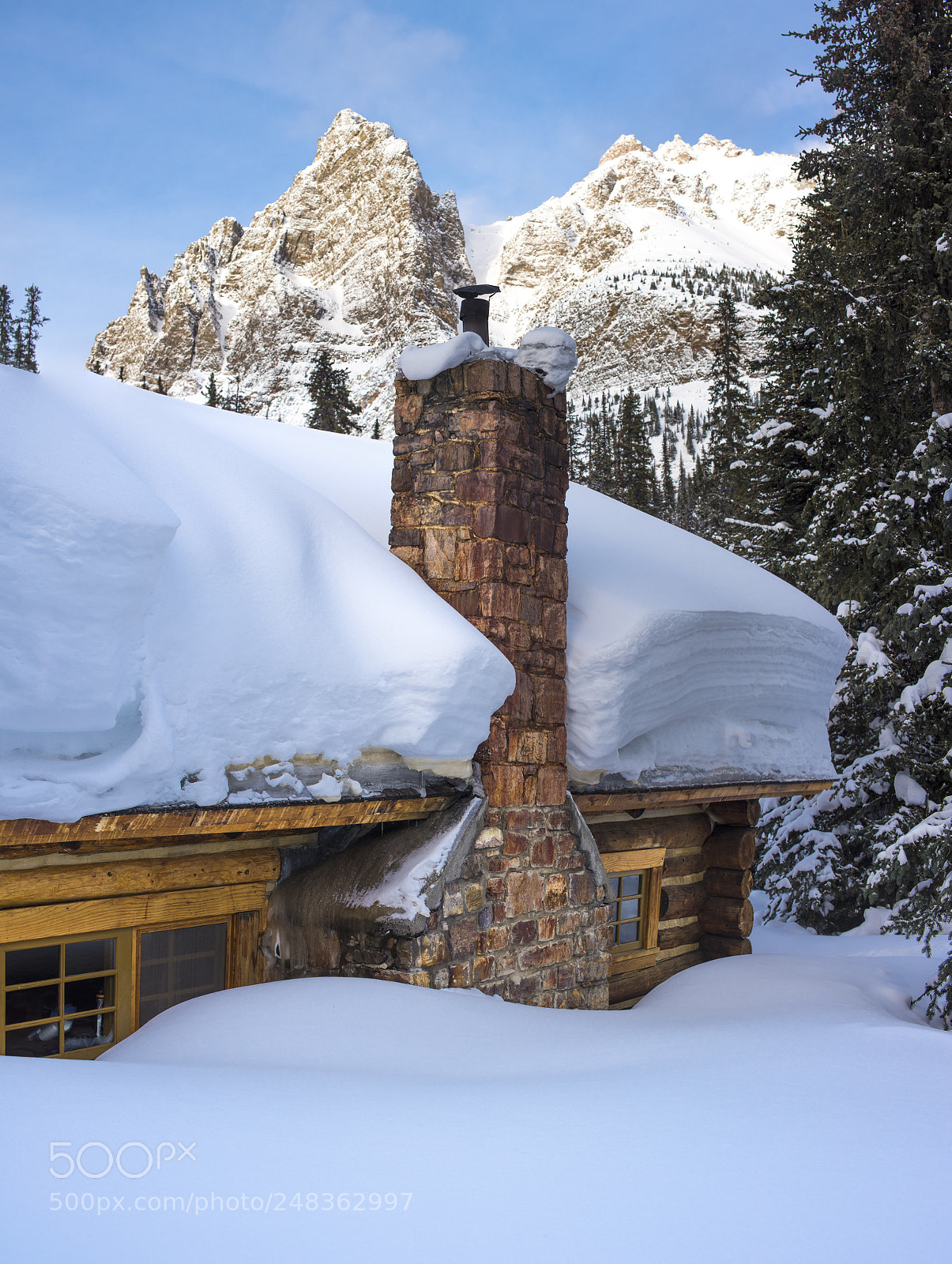 Nikon D810 sample photo. Winter fun photography