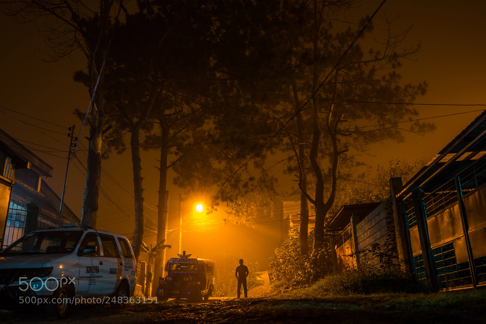 Sony a7 II sample photo. Silhoutte in the fog photography