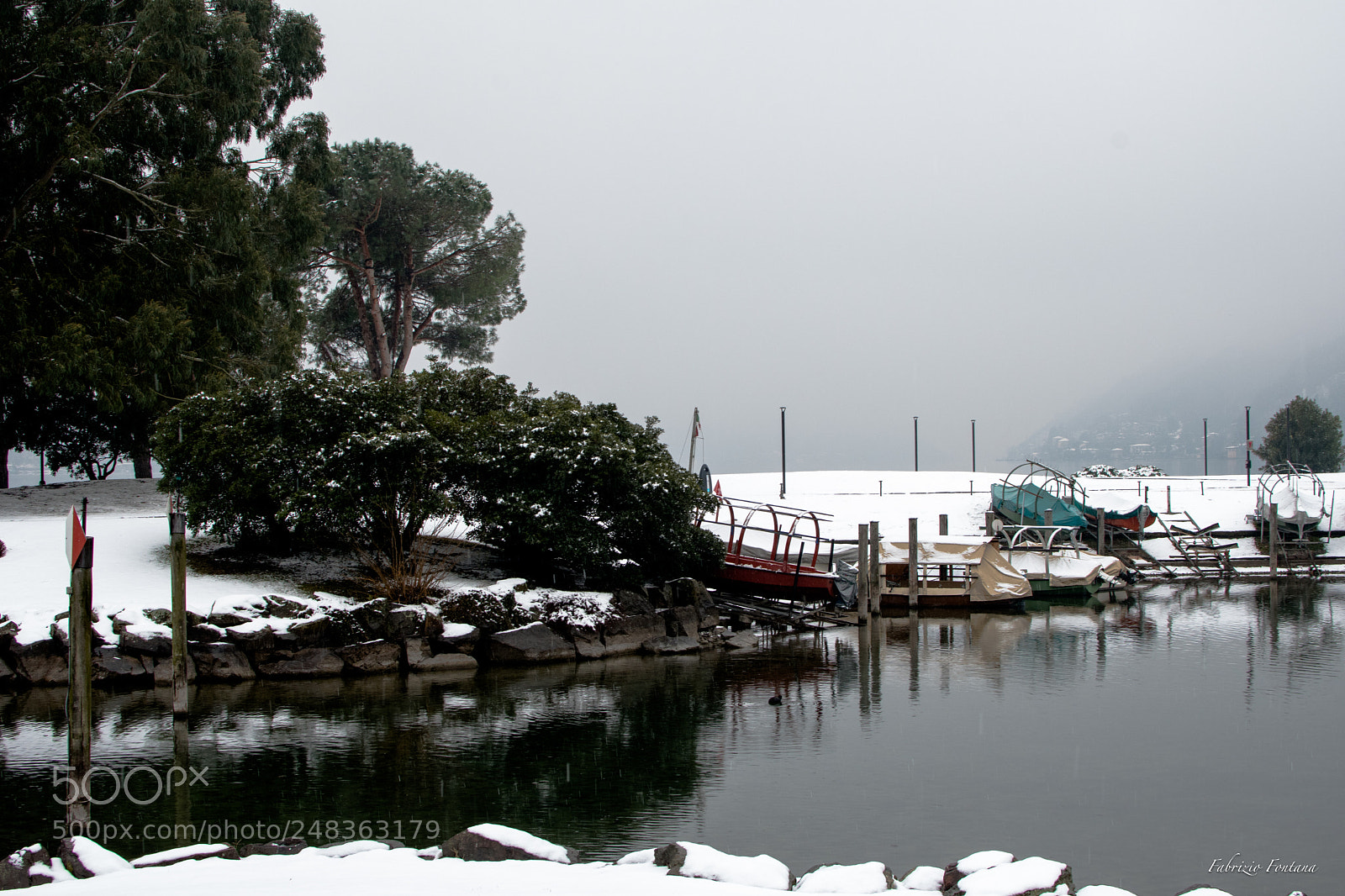 Nikon D500 sample photo. Untitled photography