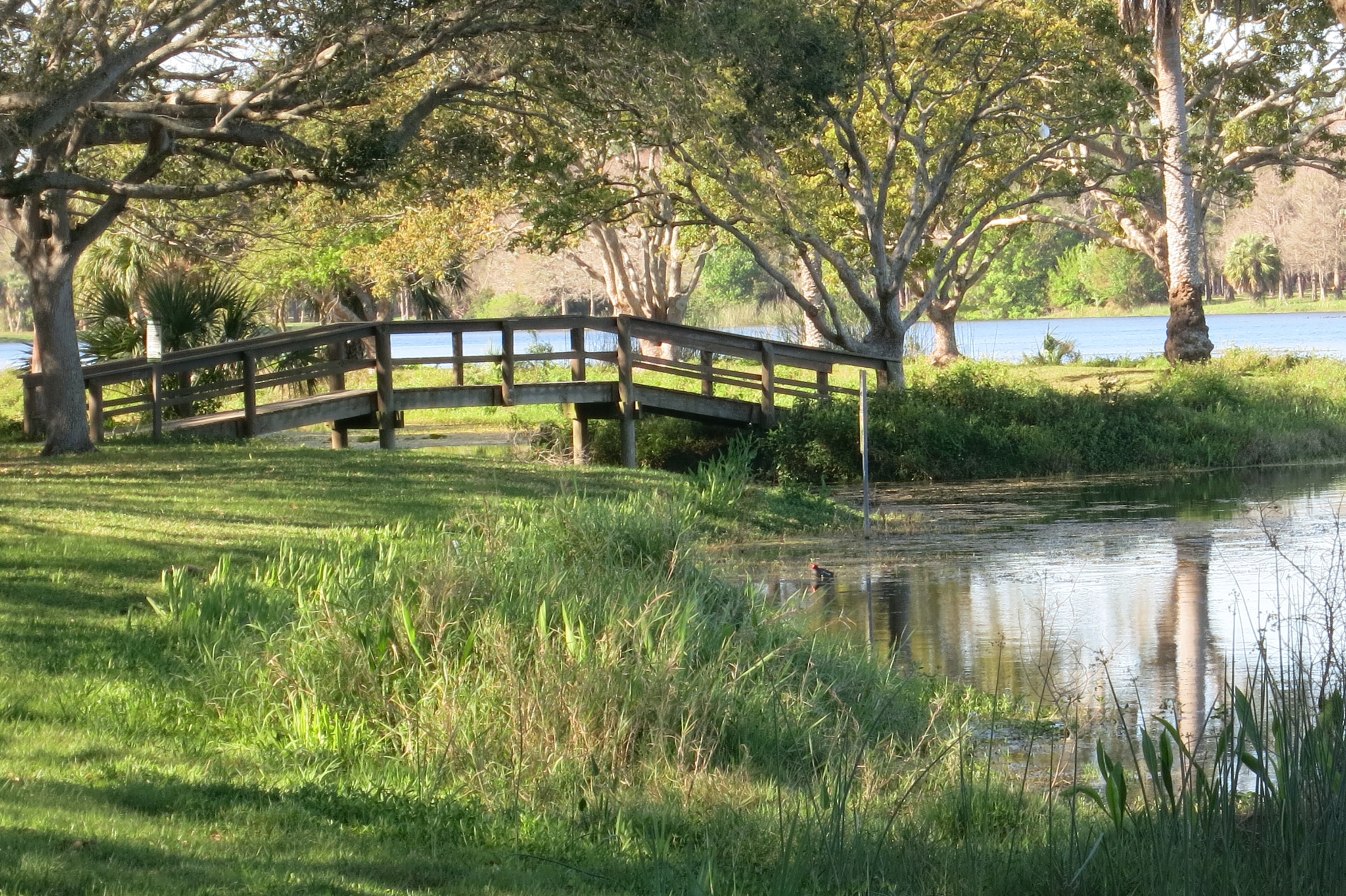 Canon PowerShot S110 sample photo. Little bridge to nowhere photography