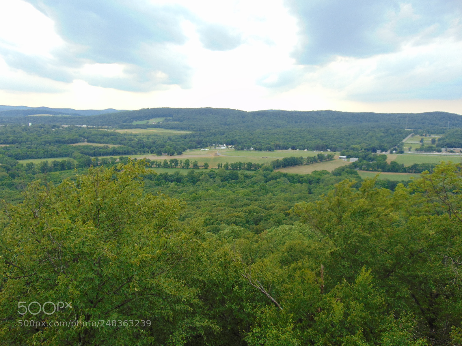 Sony Cyber-shot DSC-H300 sample photo. Nature photography