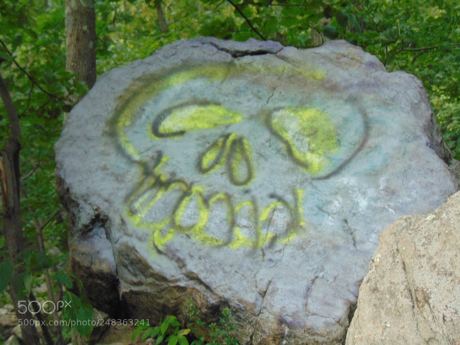 Sony Cyber-shot DSC-H300 sample photo. Nature photography