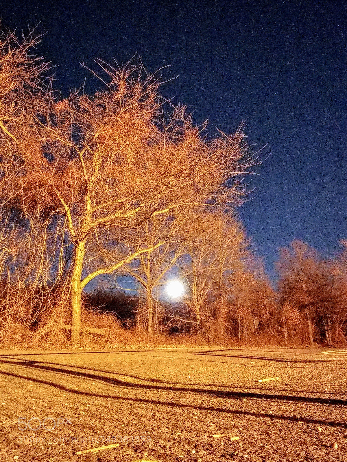 LG V20 sample photo. Winter's call photography