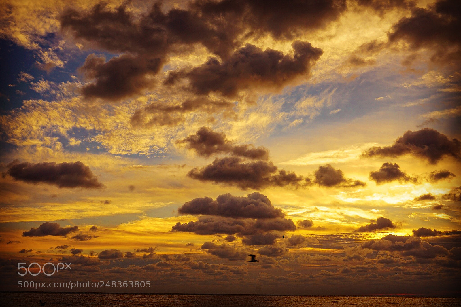 Sony a5100 sample photo. Sun on the rise photography