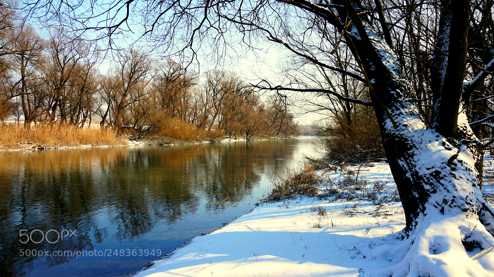 Sony Alpha a5000 (ILCE 5000) sample photo. The danube on a photography