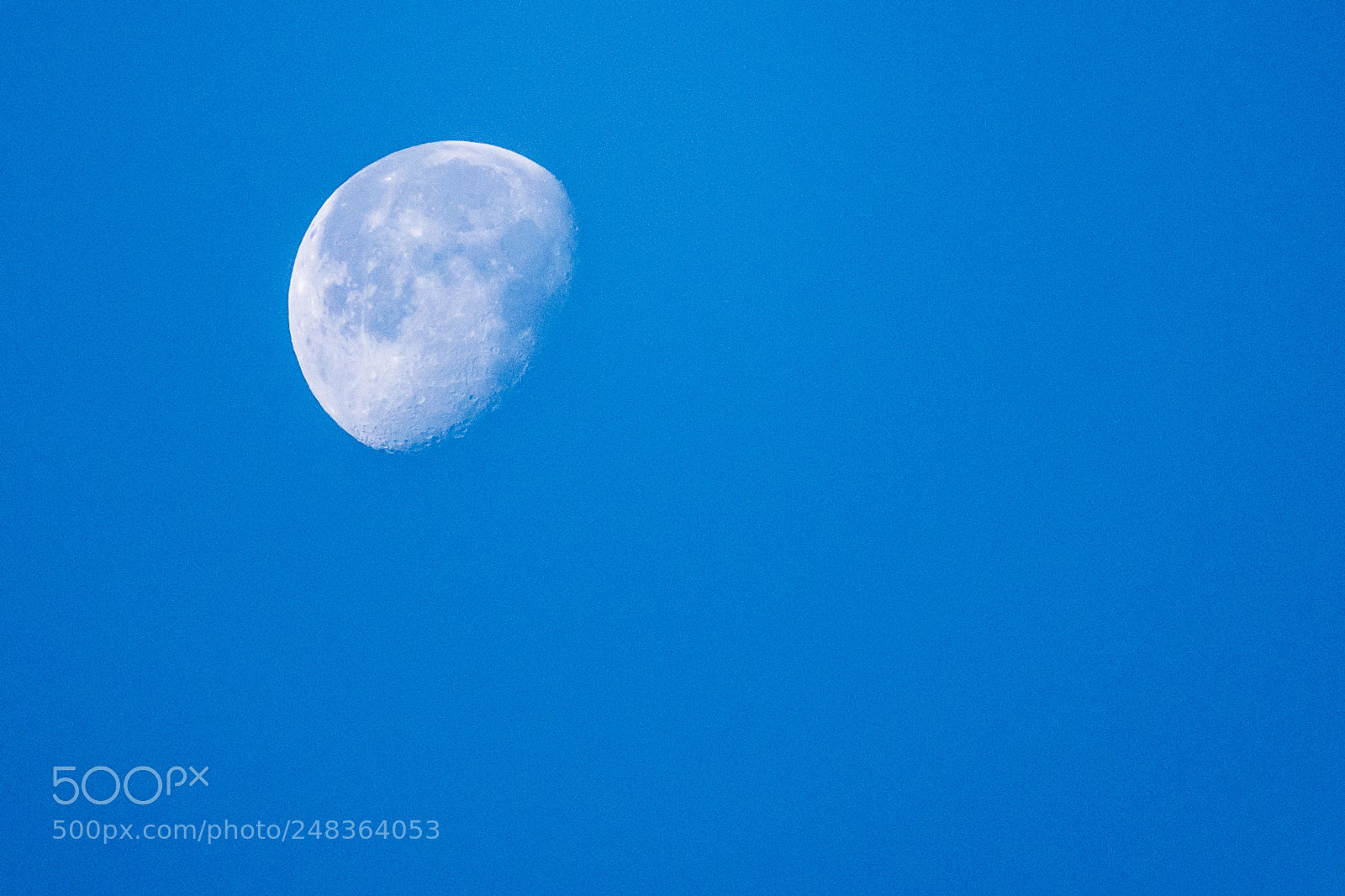 Nikon D5600 sample photo. Clear skies photography