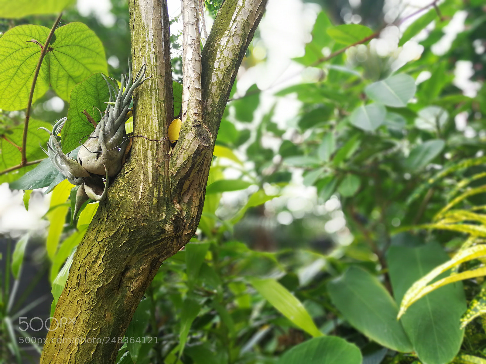 HUAWEI Mate 9 sample photo. Untitled photography
