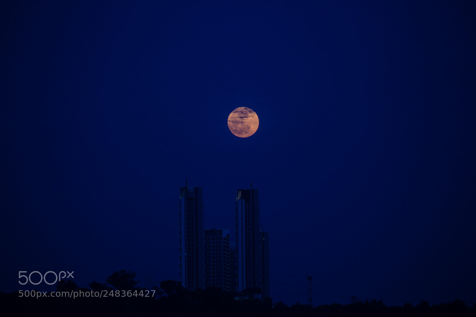 Canon EOS 60D sample photo. The moon lit night photography