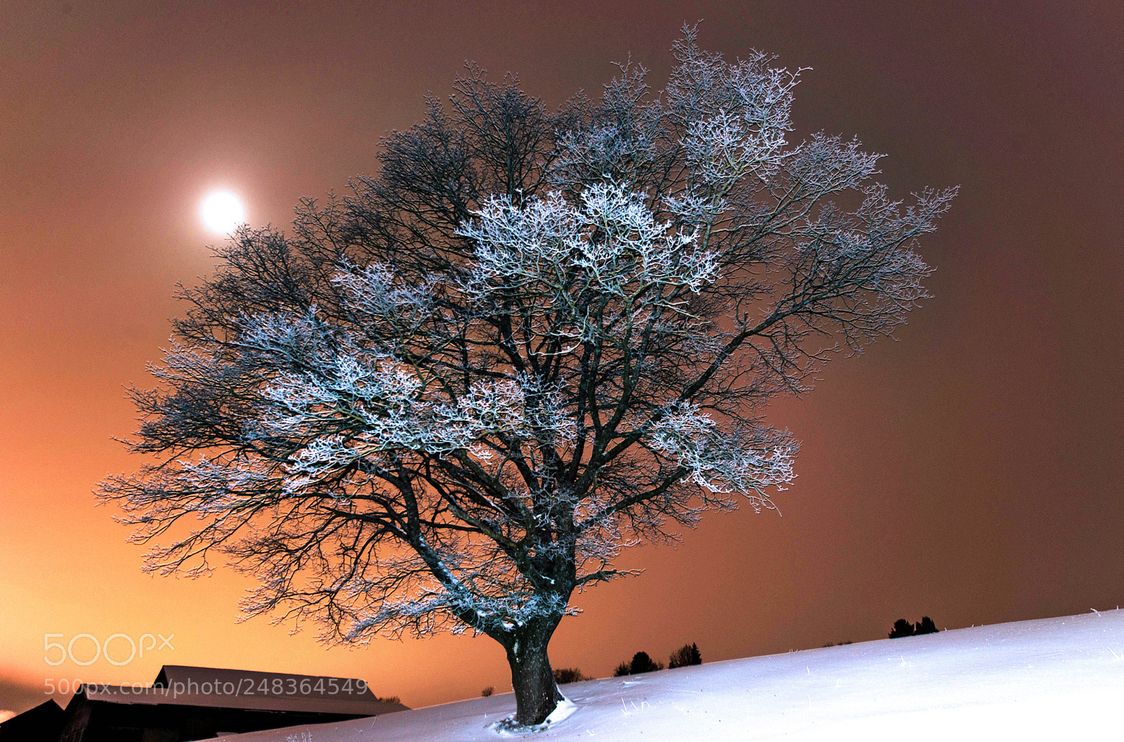Nikon D800E sample photo. Nuit froide photography