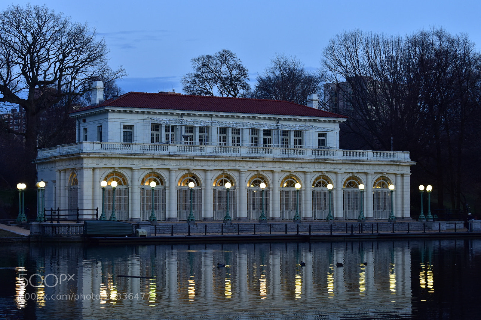 Nikon D3400 sample photo. Prospect park. brooklyn ny photography