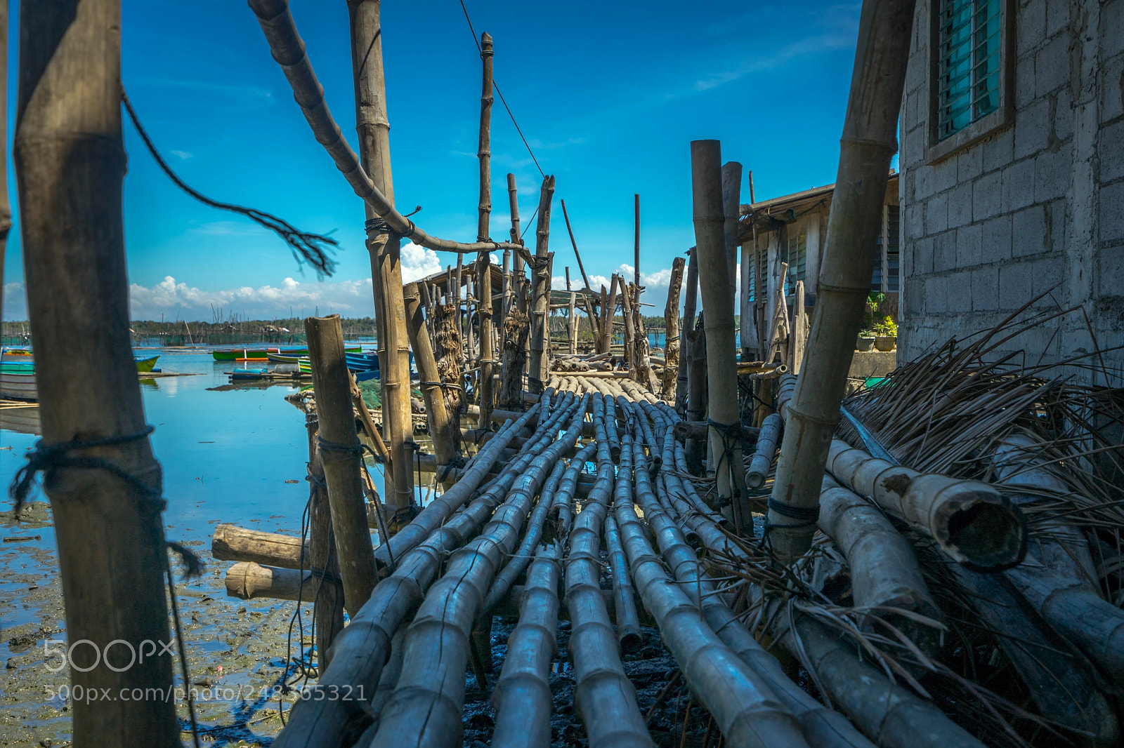 Sony a7 II sample photo. Welcome to the fishing photography
