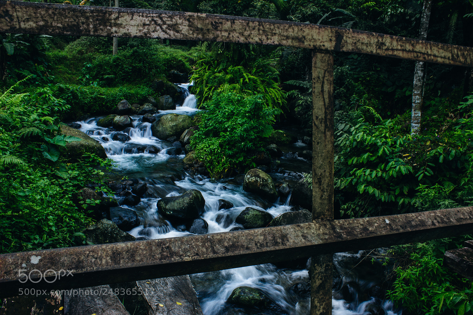 Canon EOS 600D (Rebel EOS T3i / EOS Kiss X5) sample photo. Flowing through the border photography