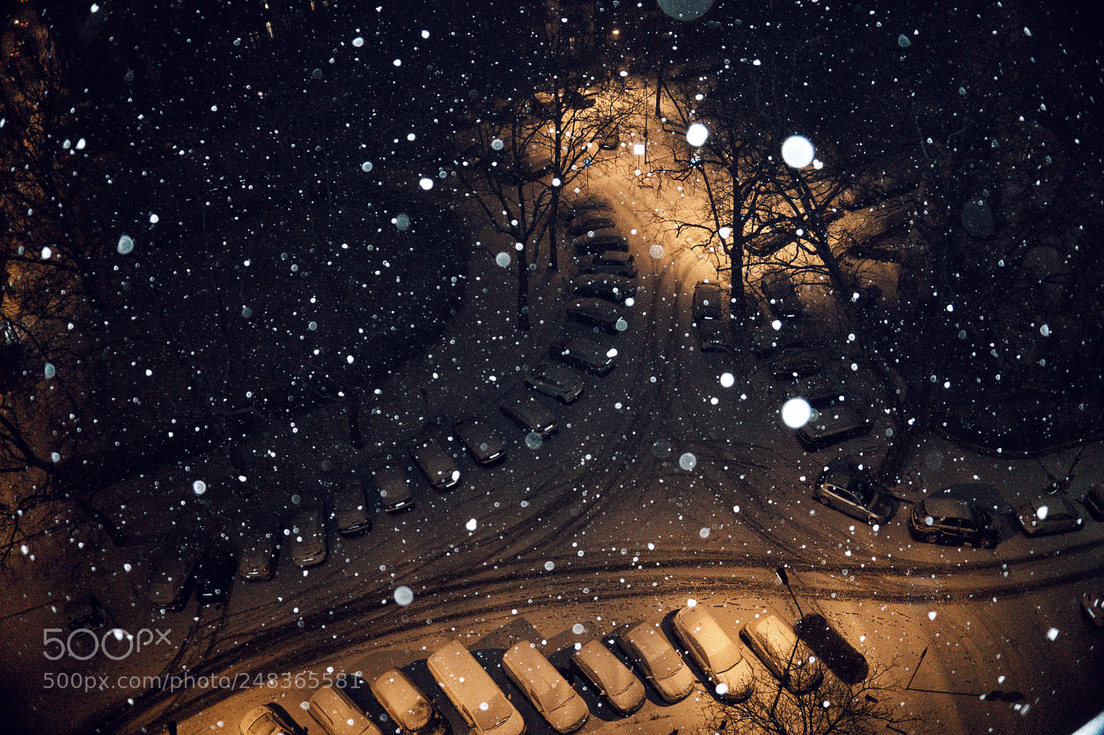 Sony a6000 sample photo. Snowy 2018 colored photography