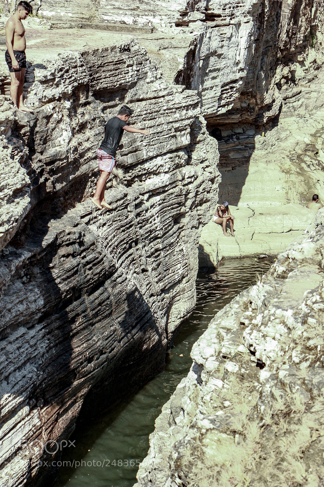 Canon EOS 60D sample photo. Leap of faith nature photography