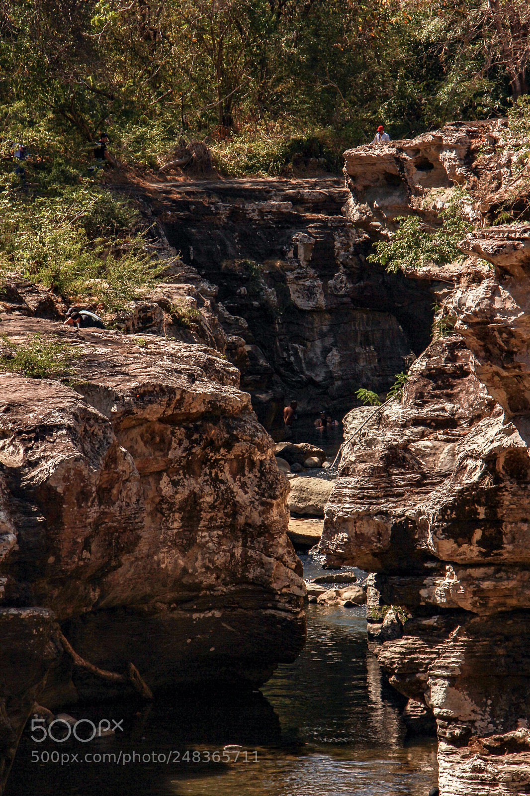 Canon EOS 60D sample photo. #nature #perspective photography