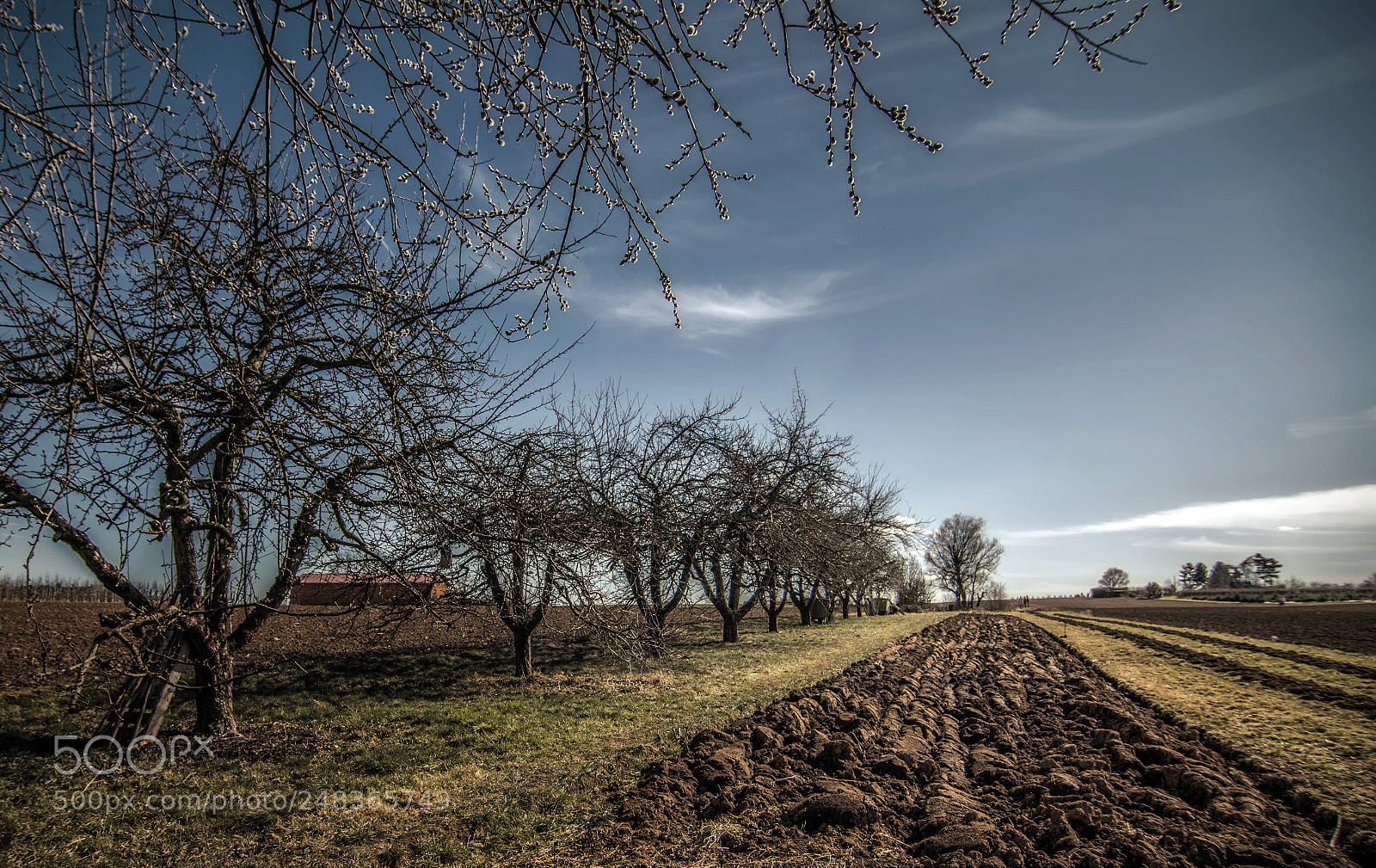 Nikon D7100 sample photo. Good bye winter photography