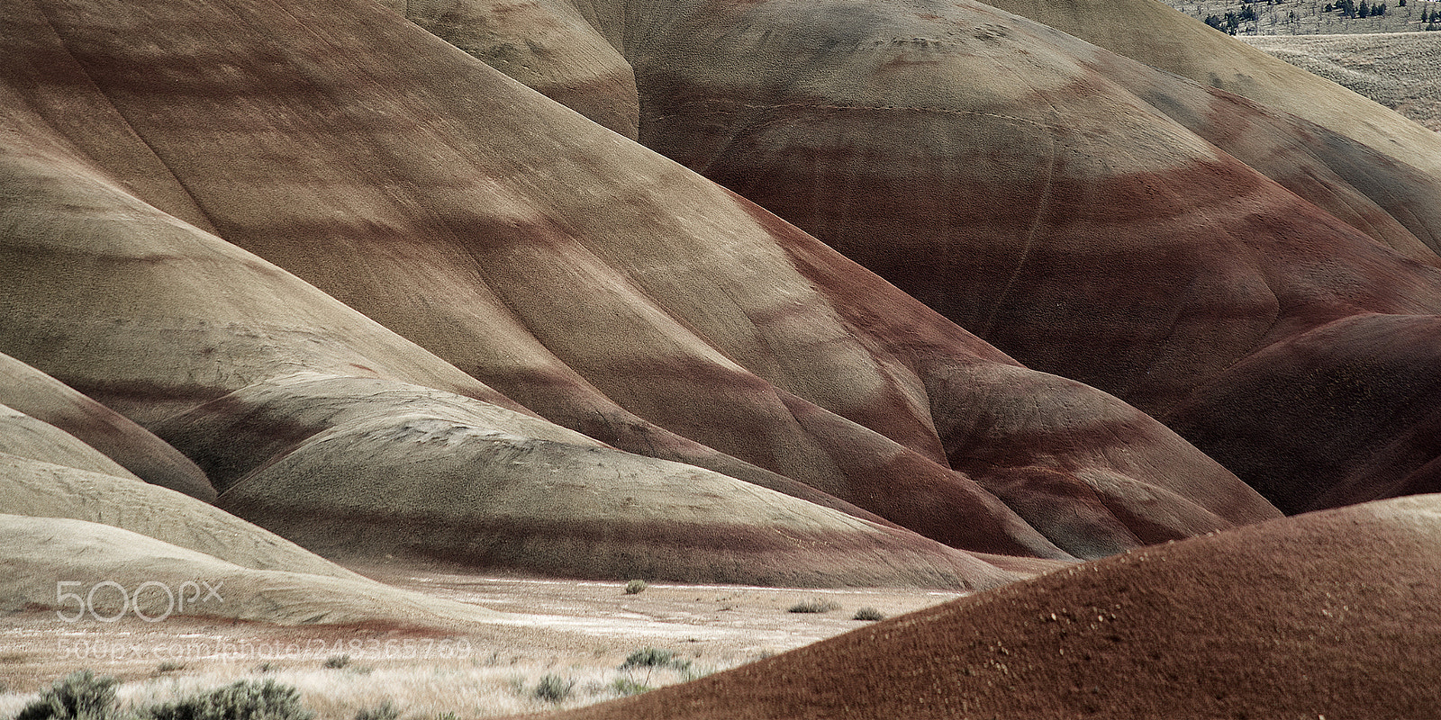 Nikon D610 sample photo. Painted hills of oregon photography