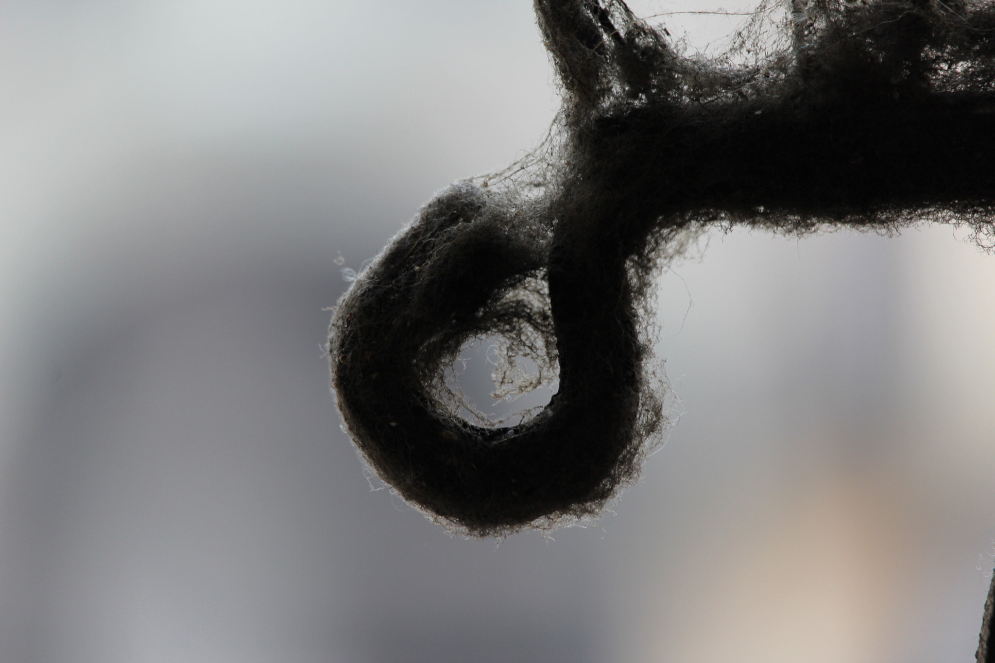 Canon EF-S 55-250mm F4-5.6 IS STM sample photo. Il tempo photography