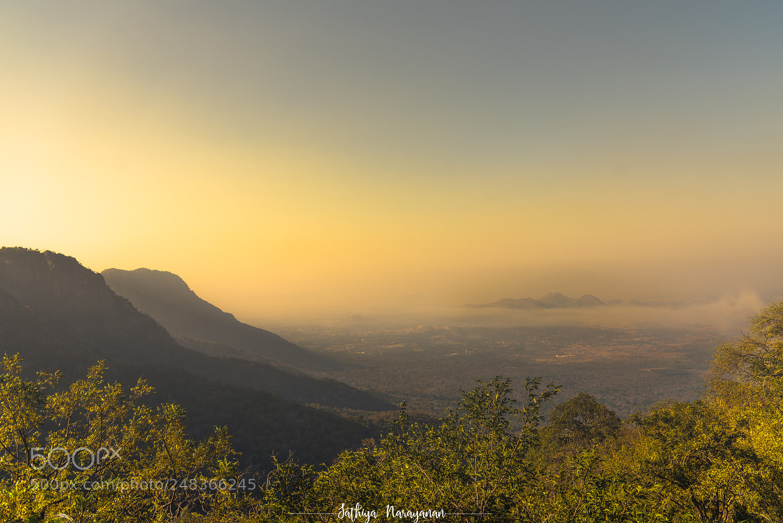 Nikon D810 sample photo. Rush of first light photography