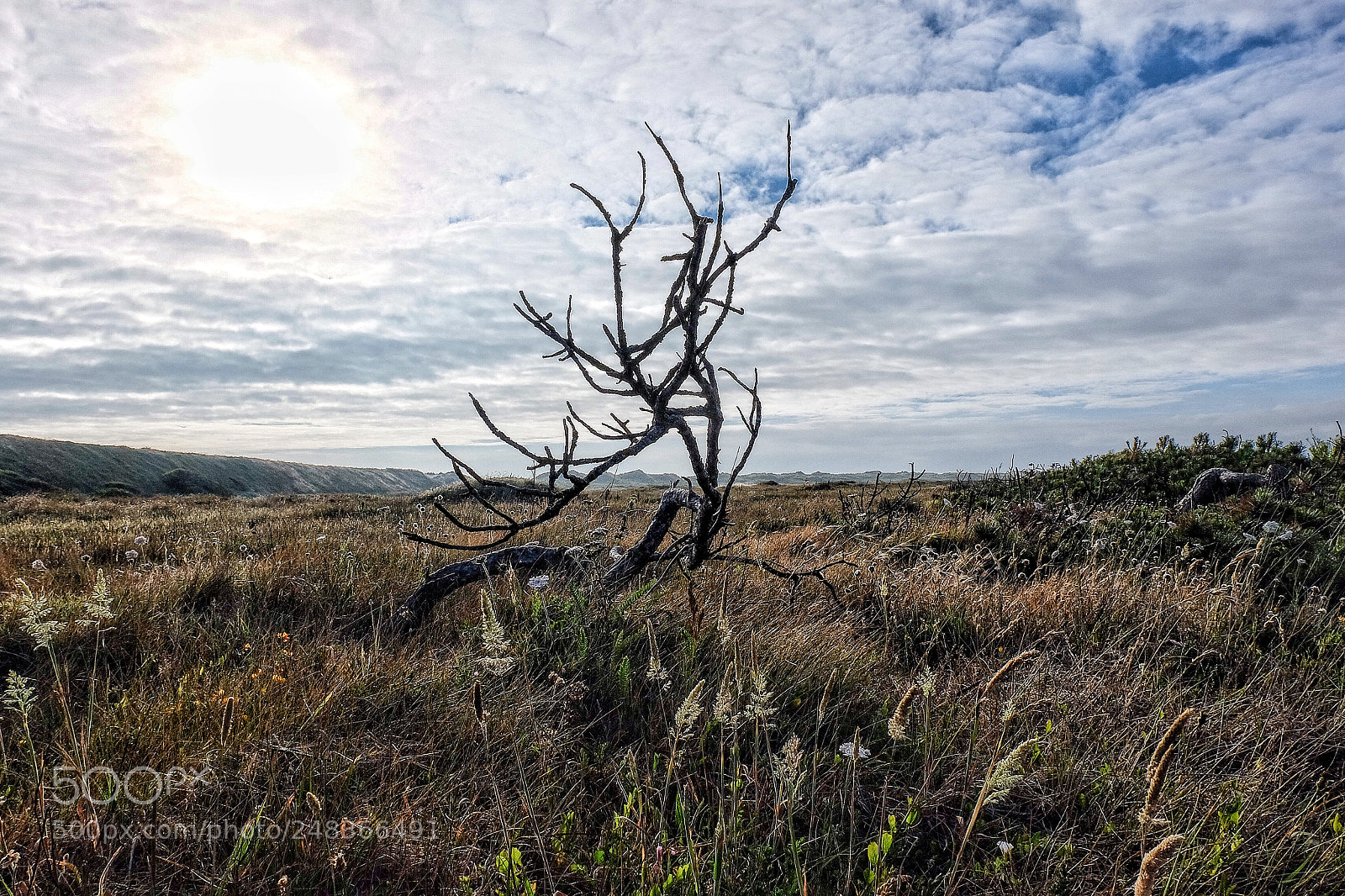 Fujifilm X-M1 sample photo. Les terres de kermabec photography