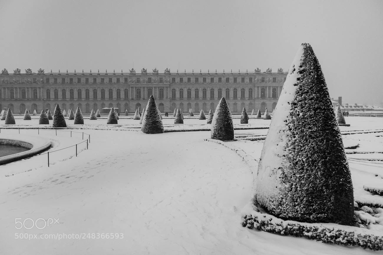 Sony Cyber-shot DSC-RX100 sample photo. Versailles photography