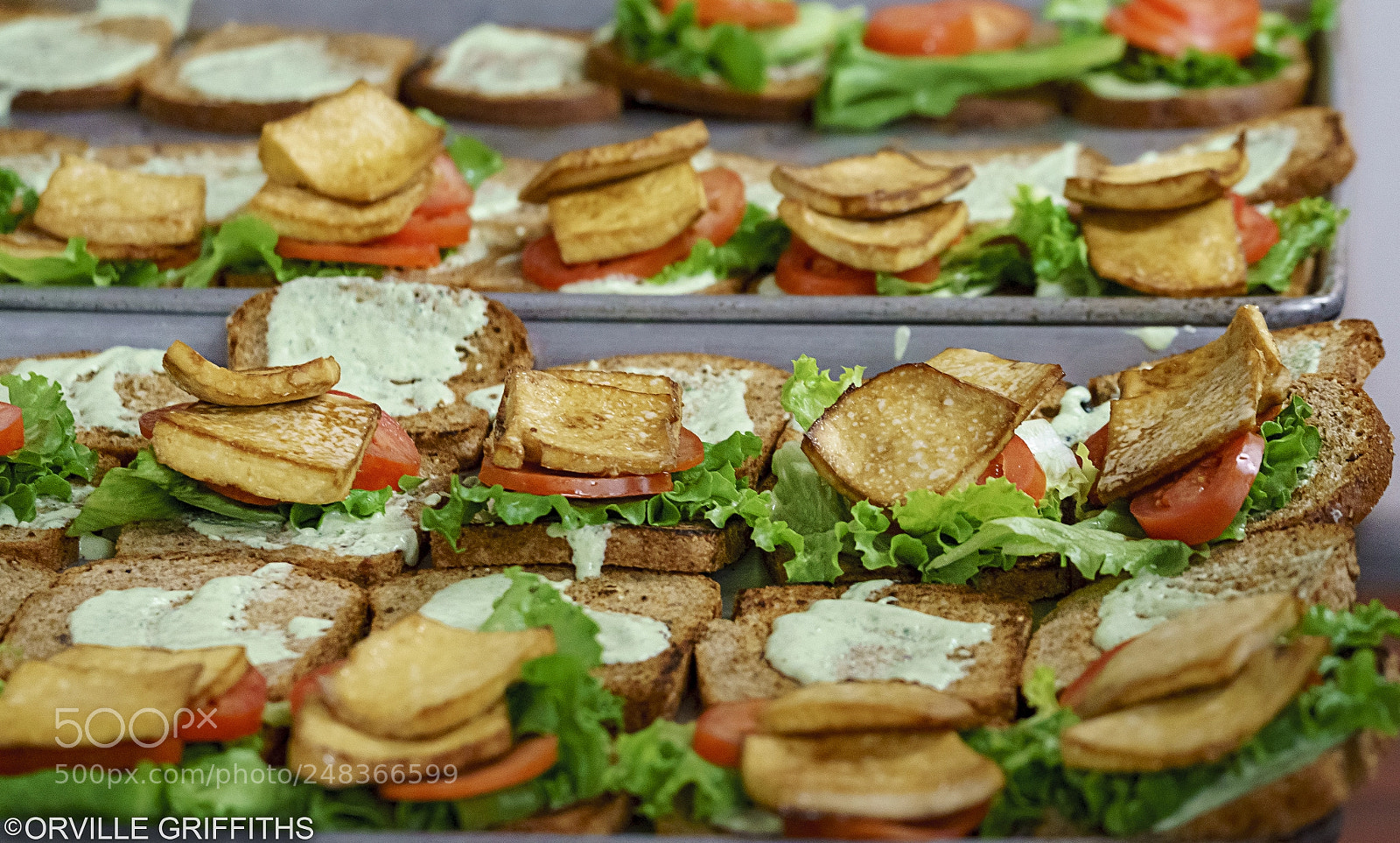 Sony a9 sample photo. **tofu**delight! photography