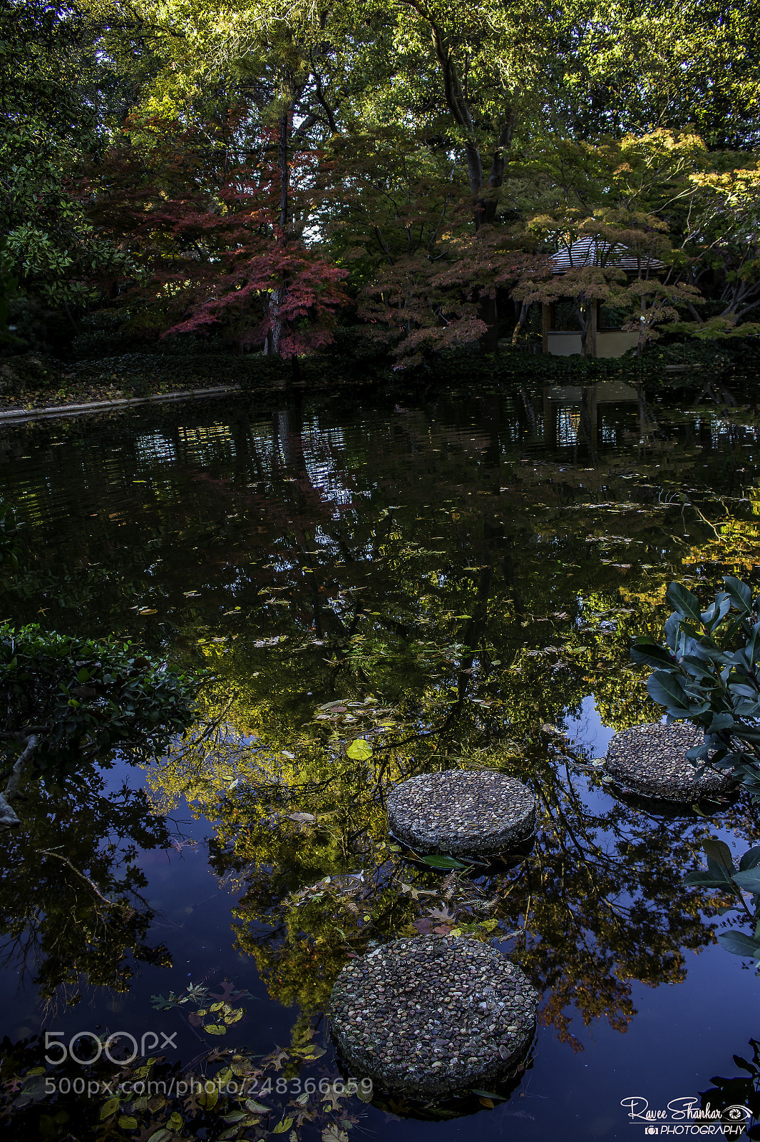 Canon EOS 700D (EOS Rebel T5i / EOS Kiss X7i) sample photo. Mg photography