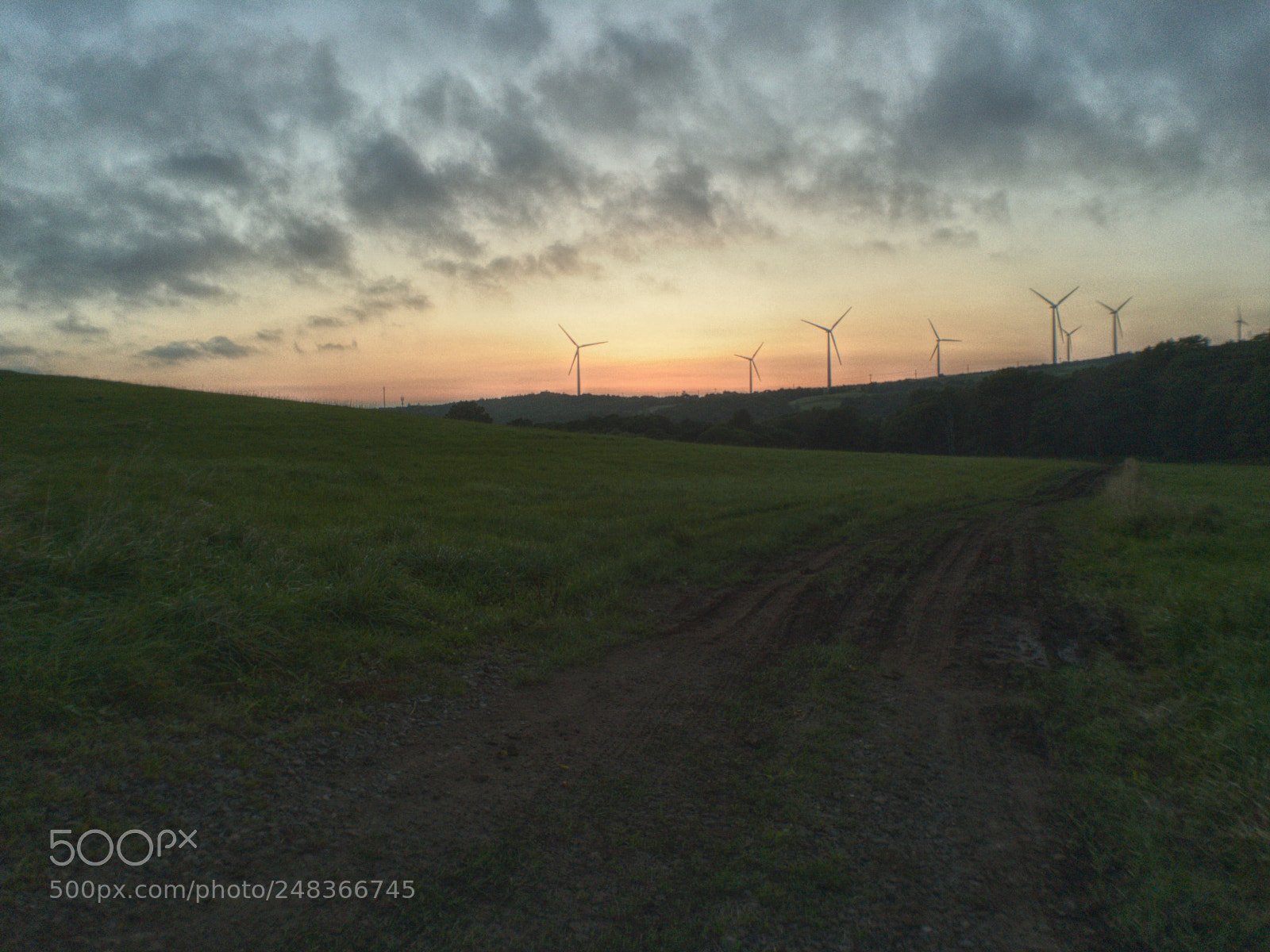 Apple iPhone 6s Plus sample photo. Beyond the meadow photography