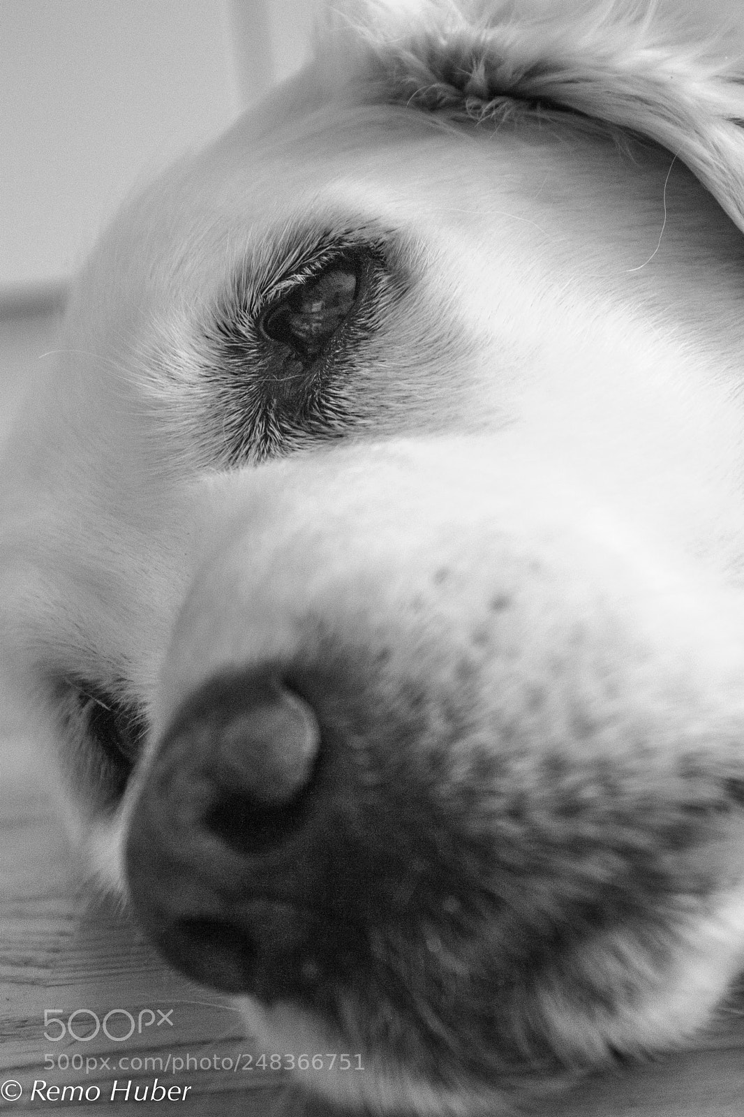 Canon EOS 1100D (EOS Rebel T3 / EOS Kiss X50) sample photo. Kira sw (von ) photography