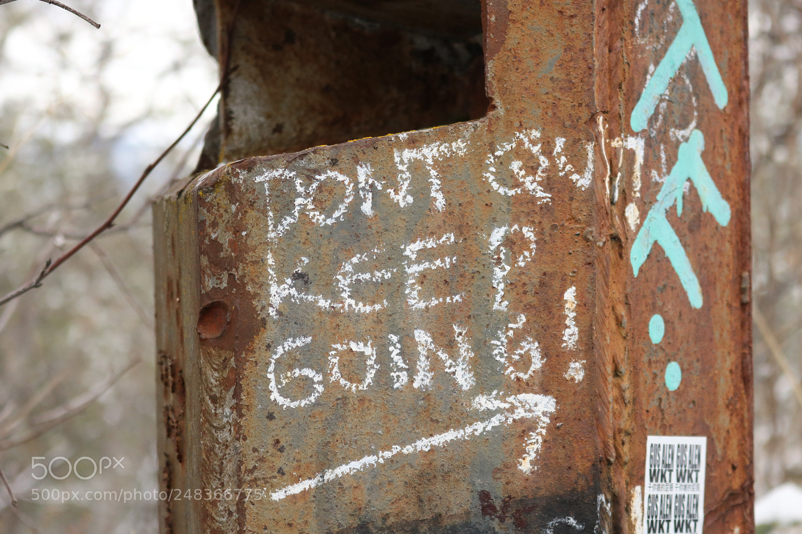 Canon EOS 750D (EOS Rebel T6i / EOS Kiss X8i) sample photo. Don't quit photography