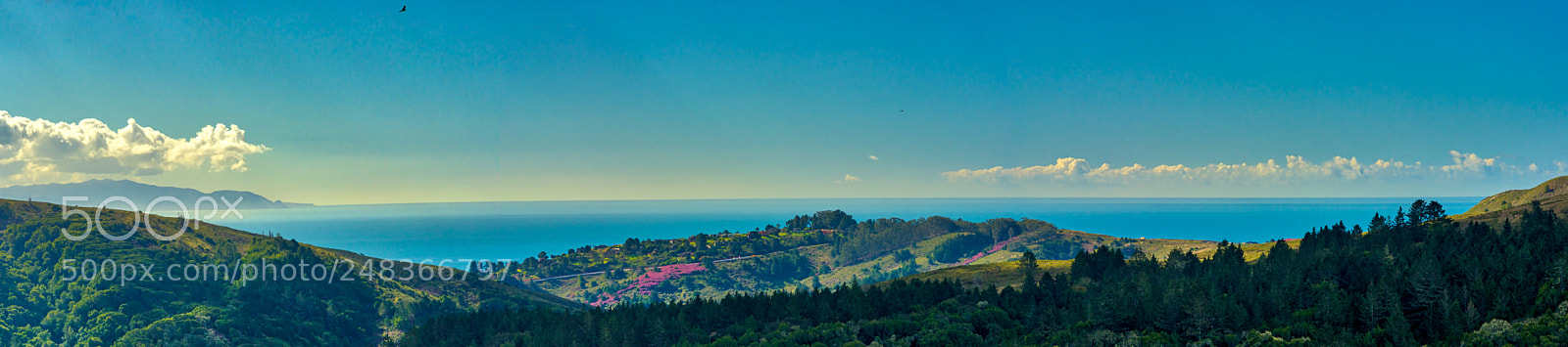 Pentax K-3 II sample photo. By muir woods photography