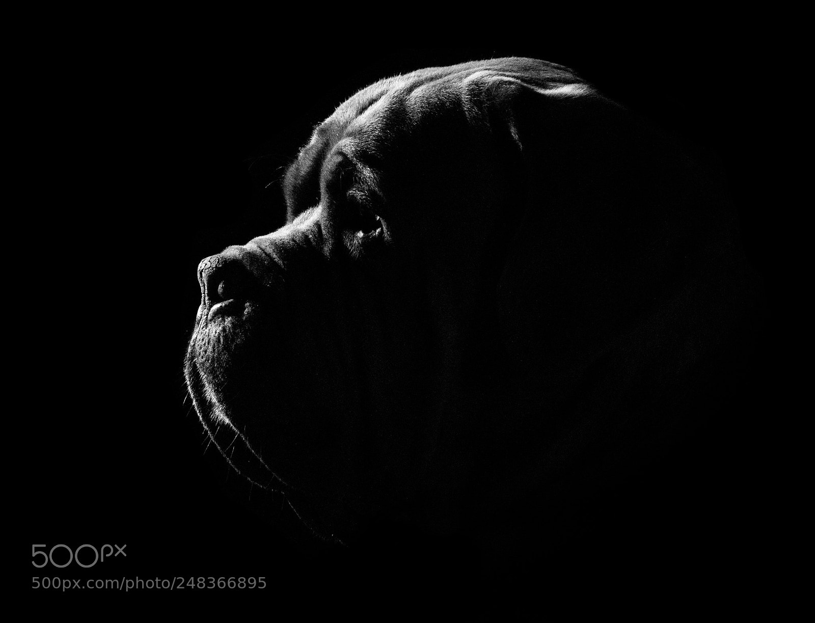 Nikon D5600 sample photo. Long night photography