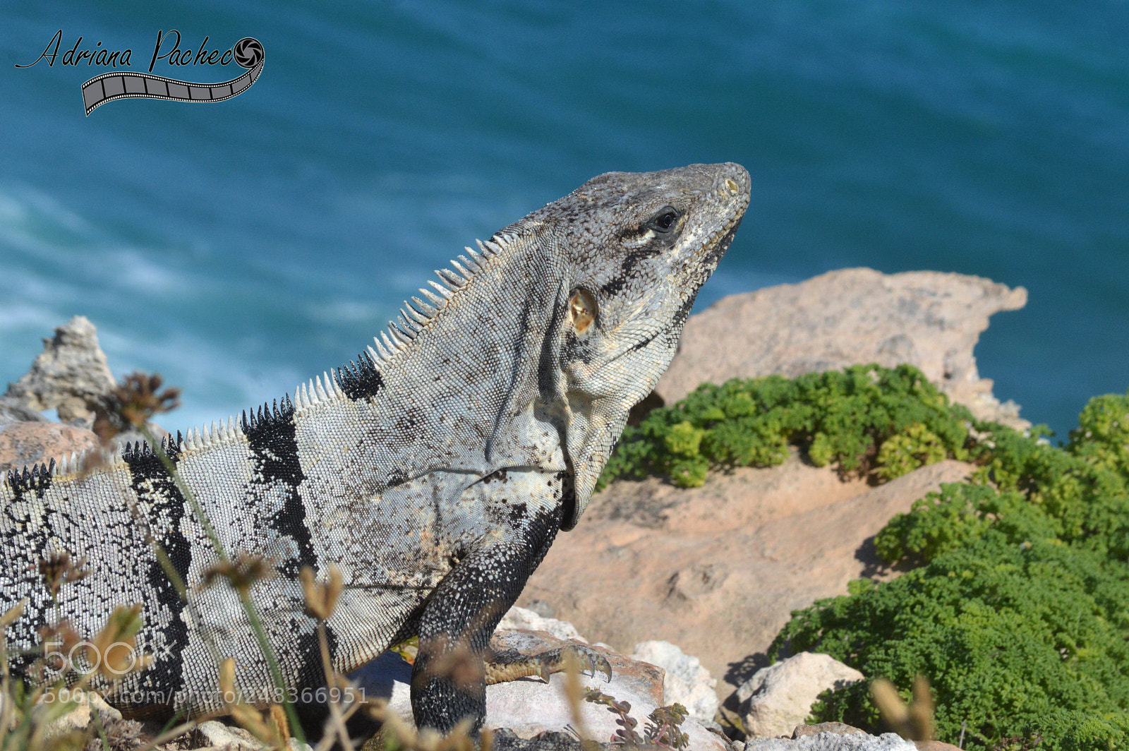 Nikon D3200 sample photo. 10.jpg photography