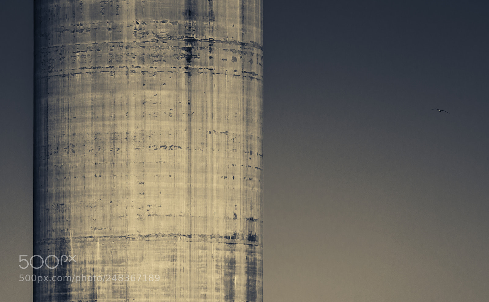 Pentax K-50 sample photo. Ancient future photography