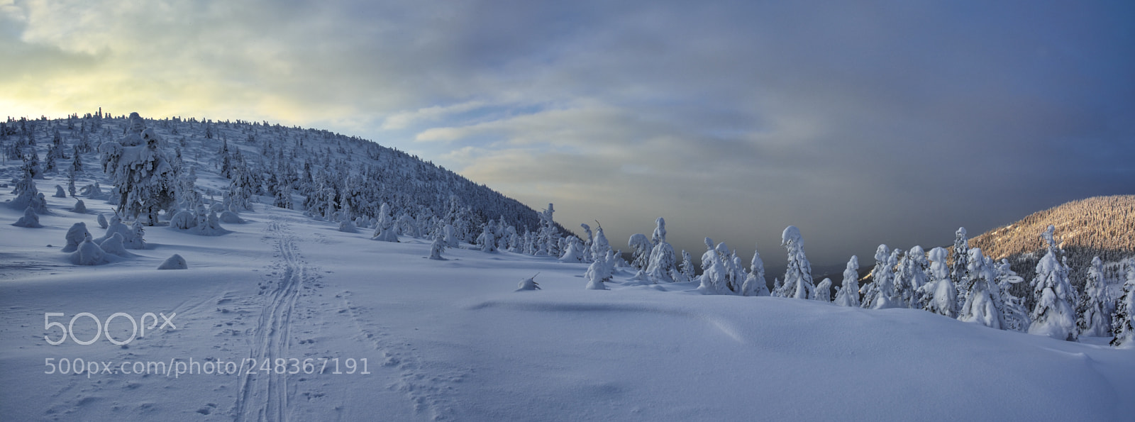 Nikon D7100 sample photo. Through winter landscape photography