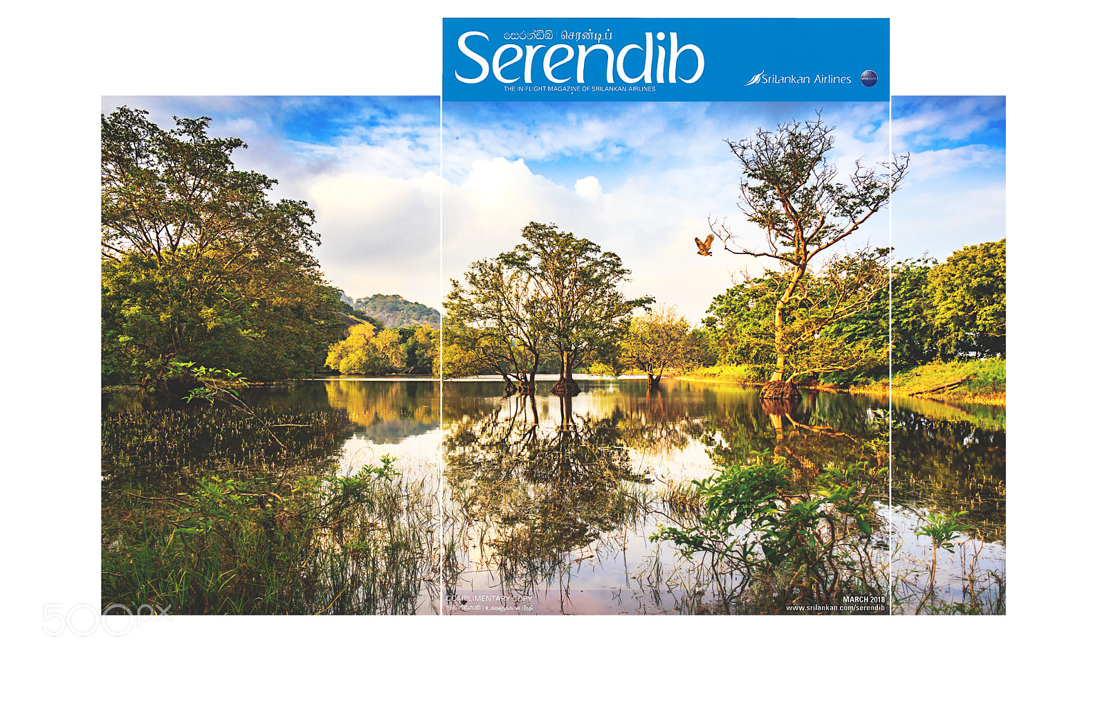 Canon EOS 600D (Rebel EOS T3i / EOS Kiss X5) sample photo. Serendib march 2018 cover photography
