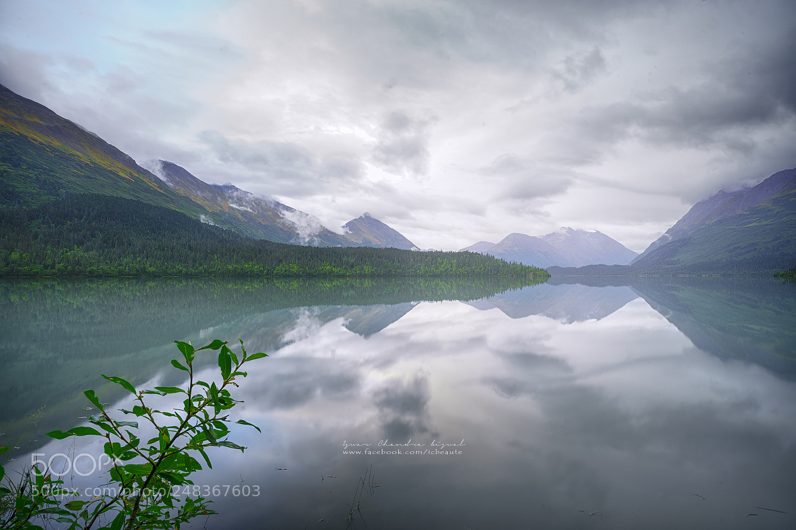 Sony a7R II sample photo. Serenity photography