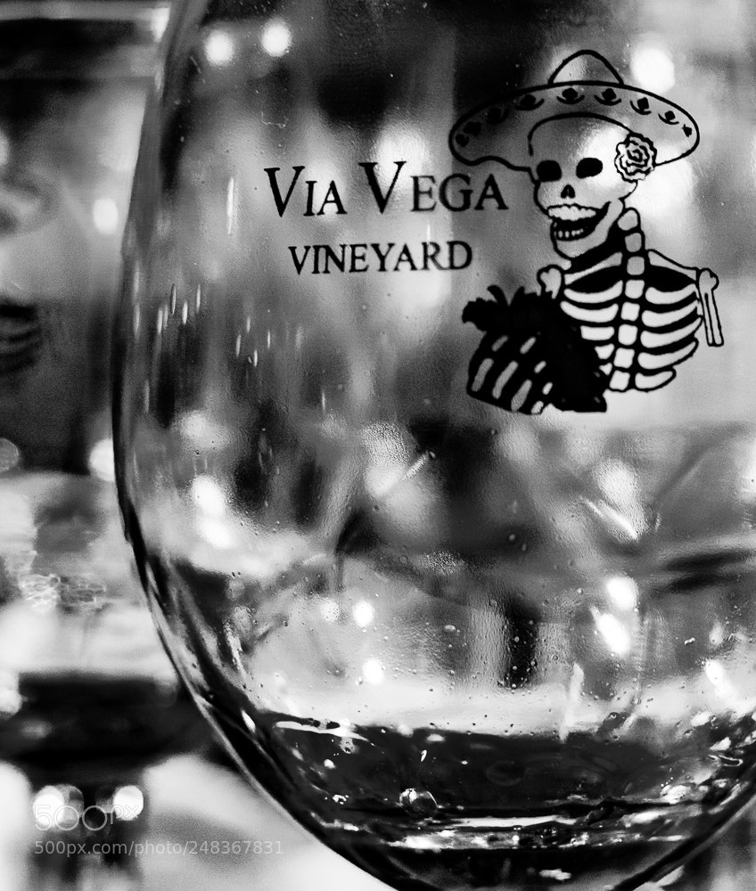 Nikon D7200 sample photo. Untitled photography