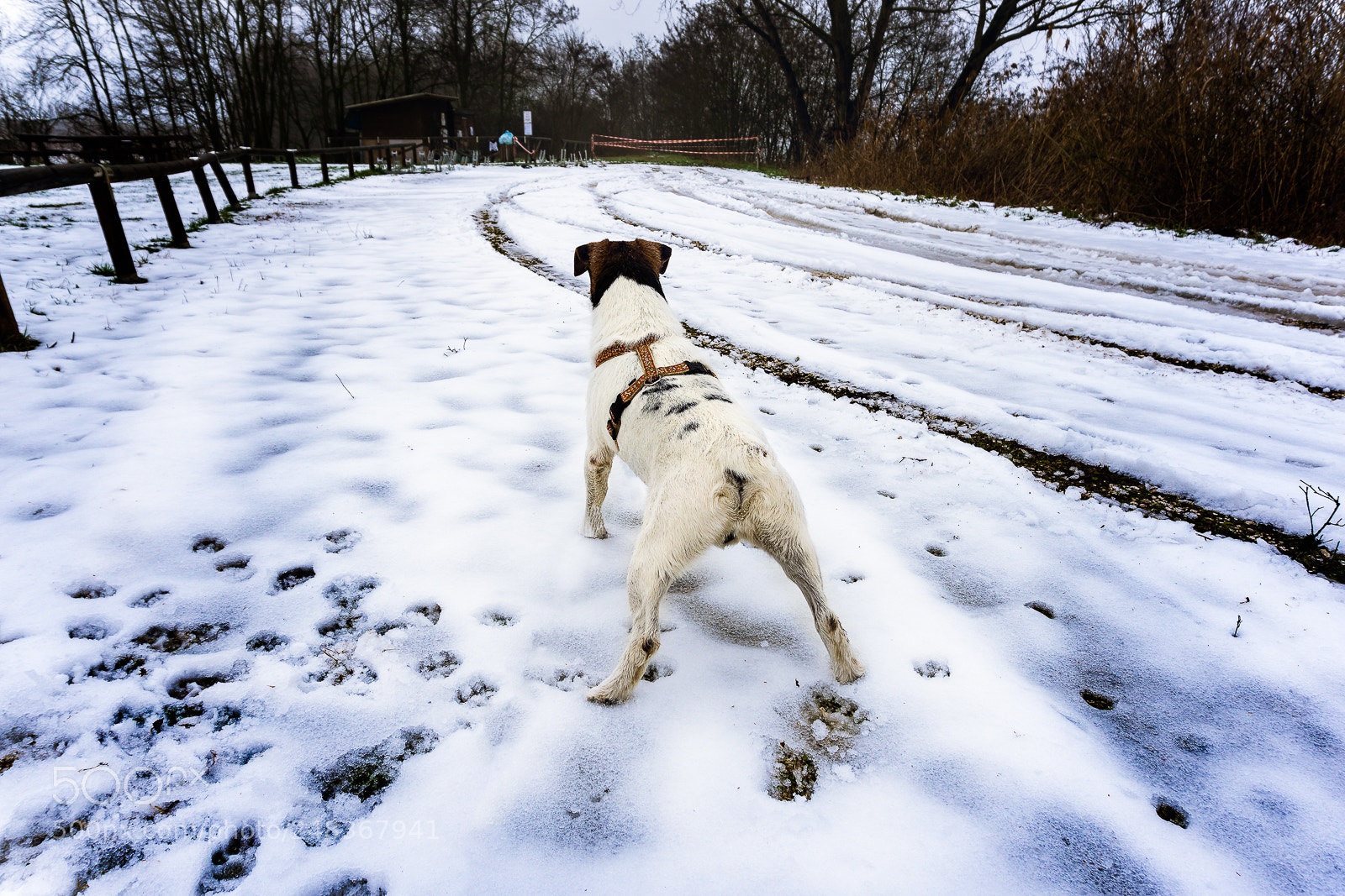 Sony a6000 sample photo. In my defense photography