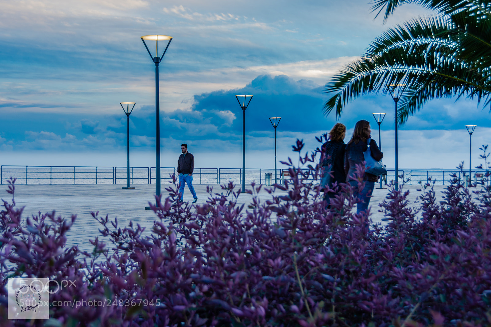 Nikon D7200 sample photo. Walking by the sea photography
