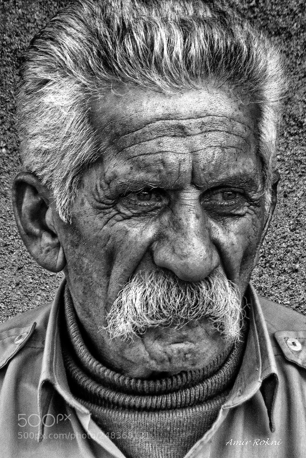 Canon PowerShot SX40 HS sample photo. Untitled photography