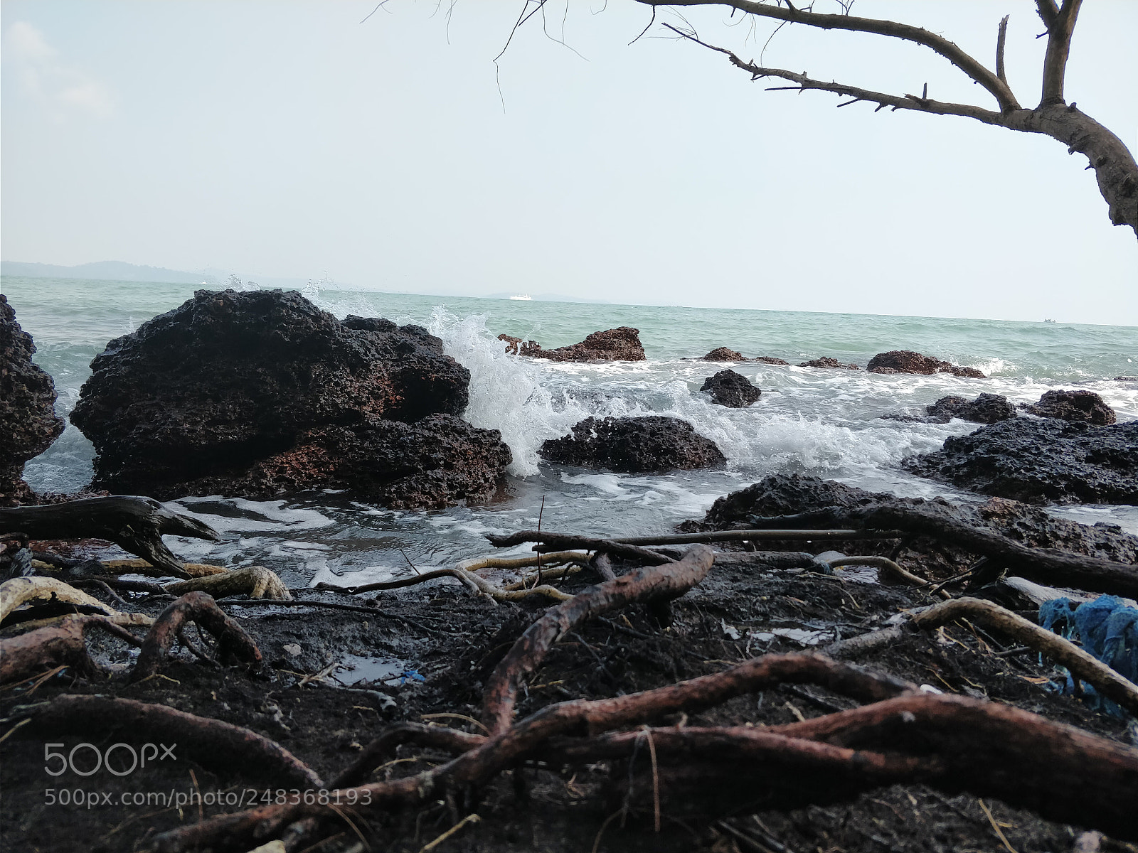 OnePlus 5 sample photo. Prince island #4 photography