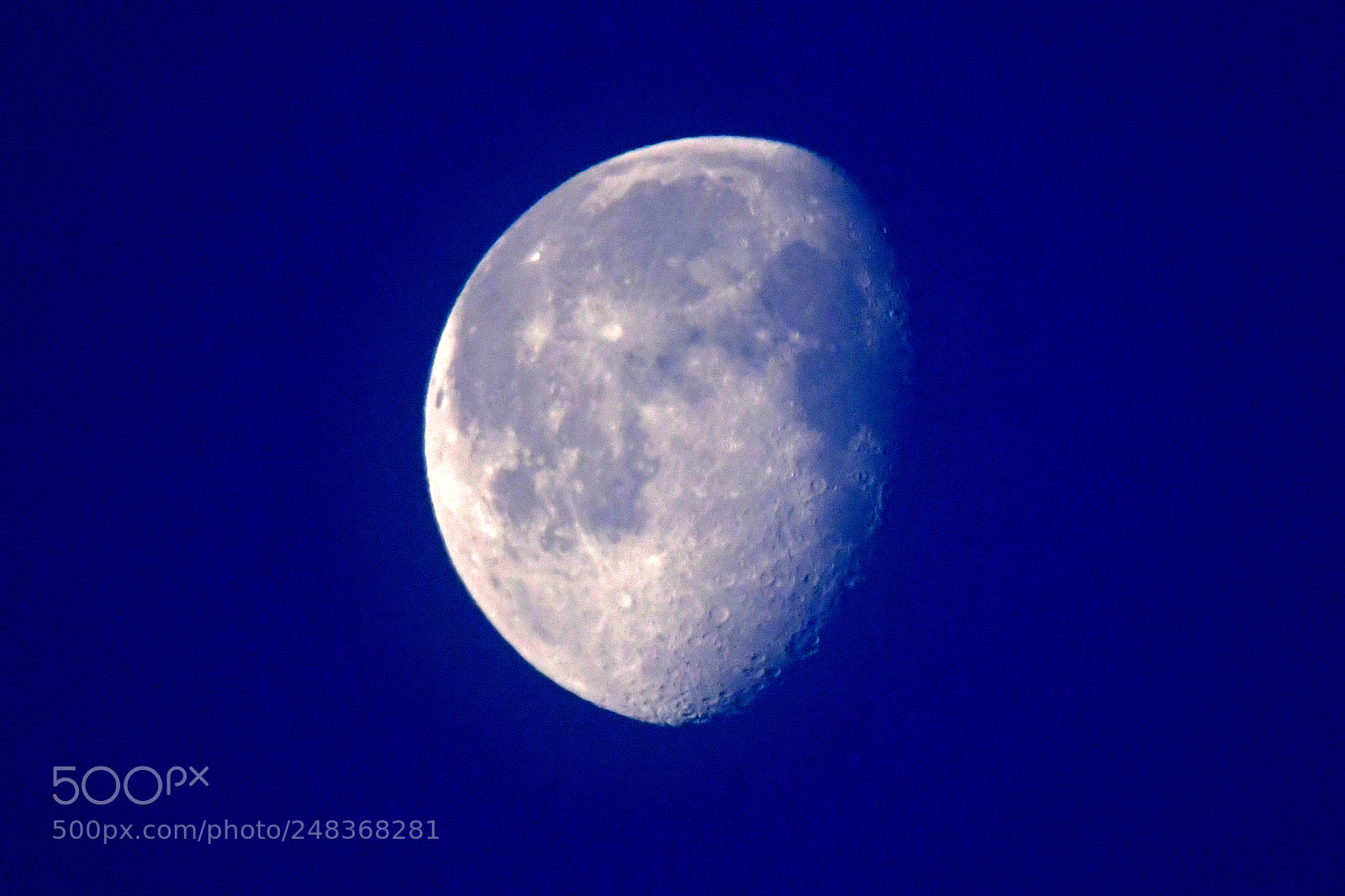 Nikon D500 sample photo. Morning moon reinheim today photography