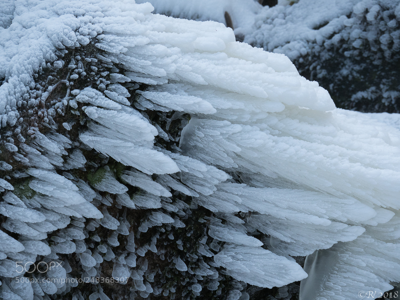 Olympus OM-D E-M1 Mark II sample photo. Sideways photography