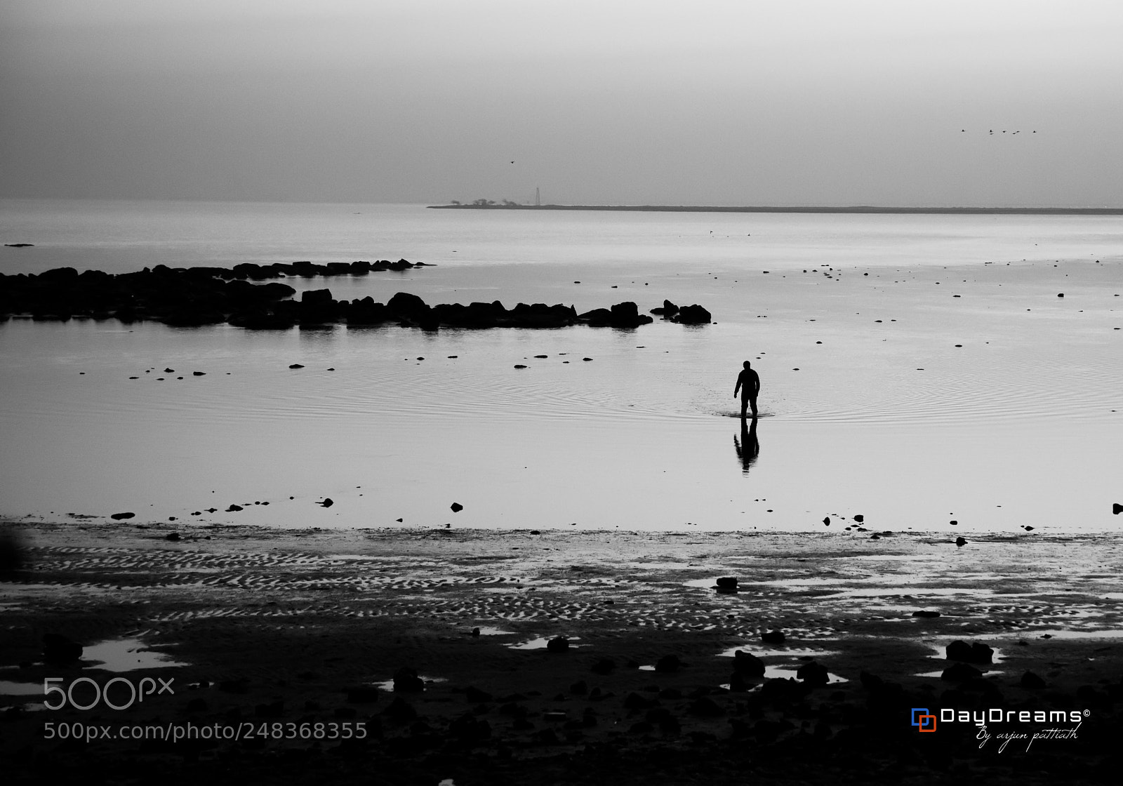 Nikon D810 sample photo. All alone in this photography