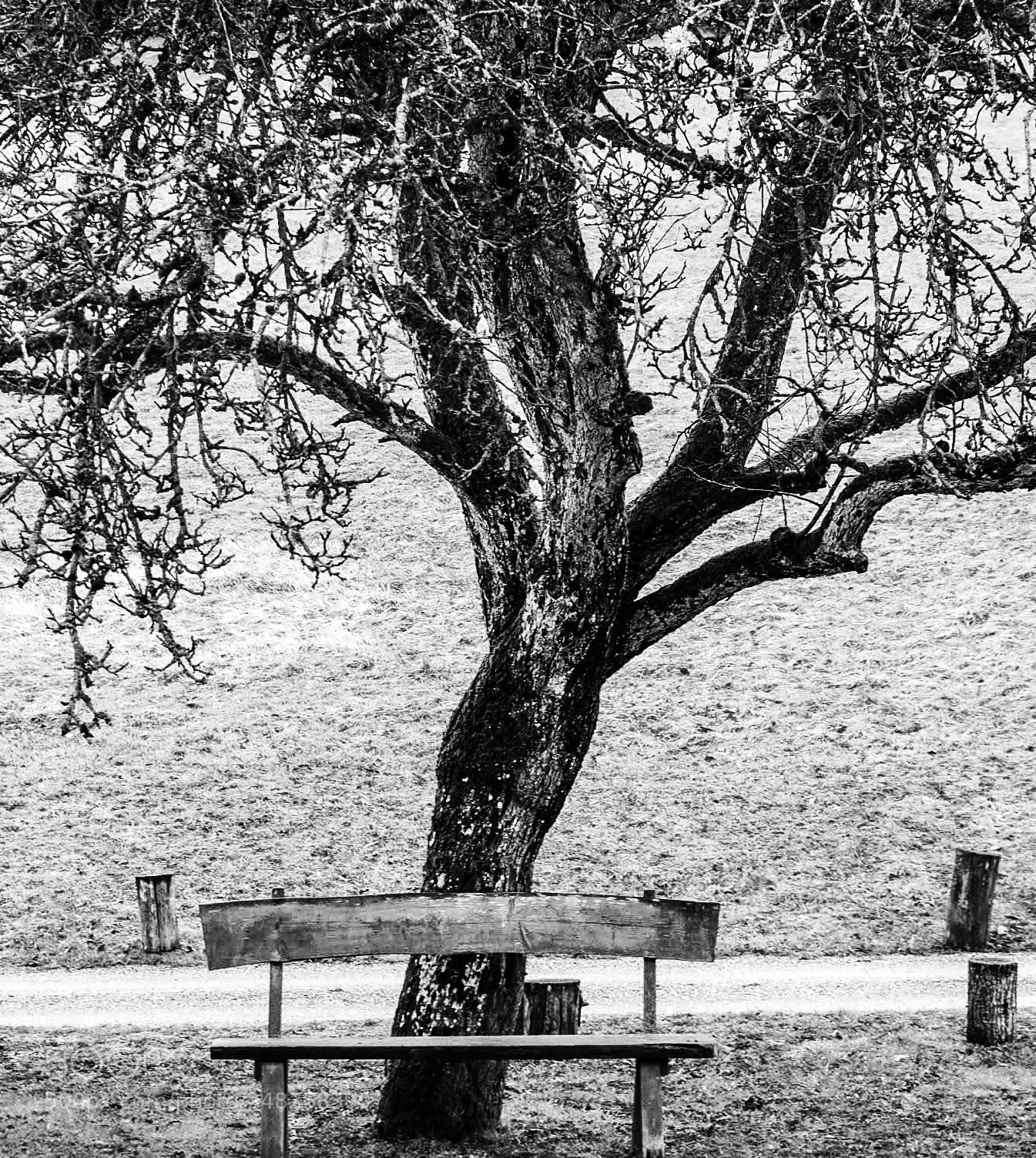 Olympus PEN-F sample photo. A l’abri photography
