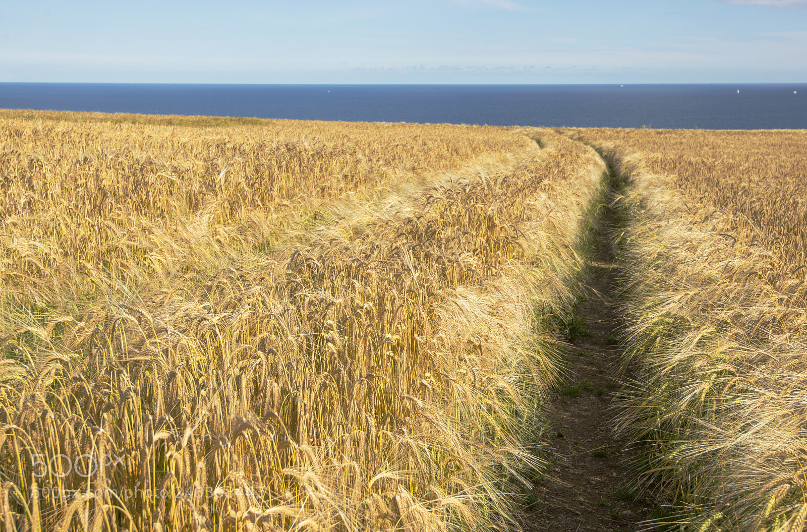 Nikon D600 sample photo. Down to the sea (1) photography