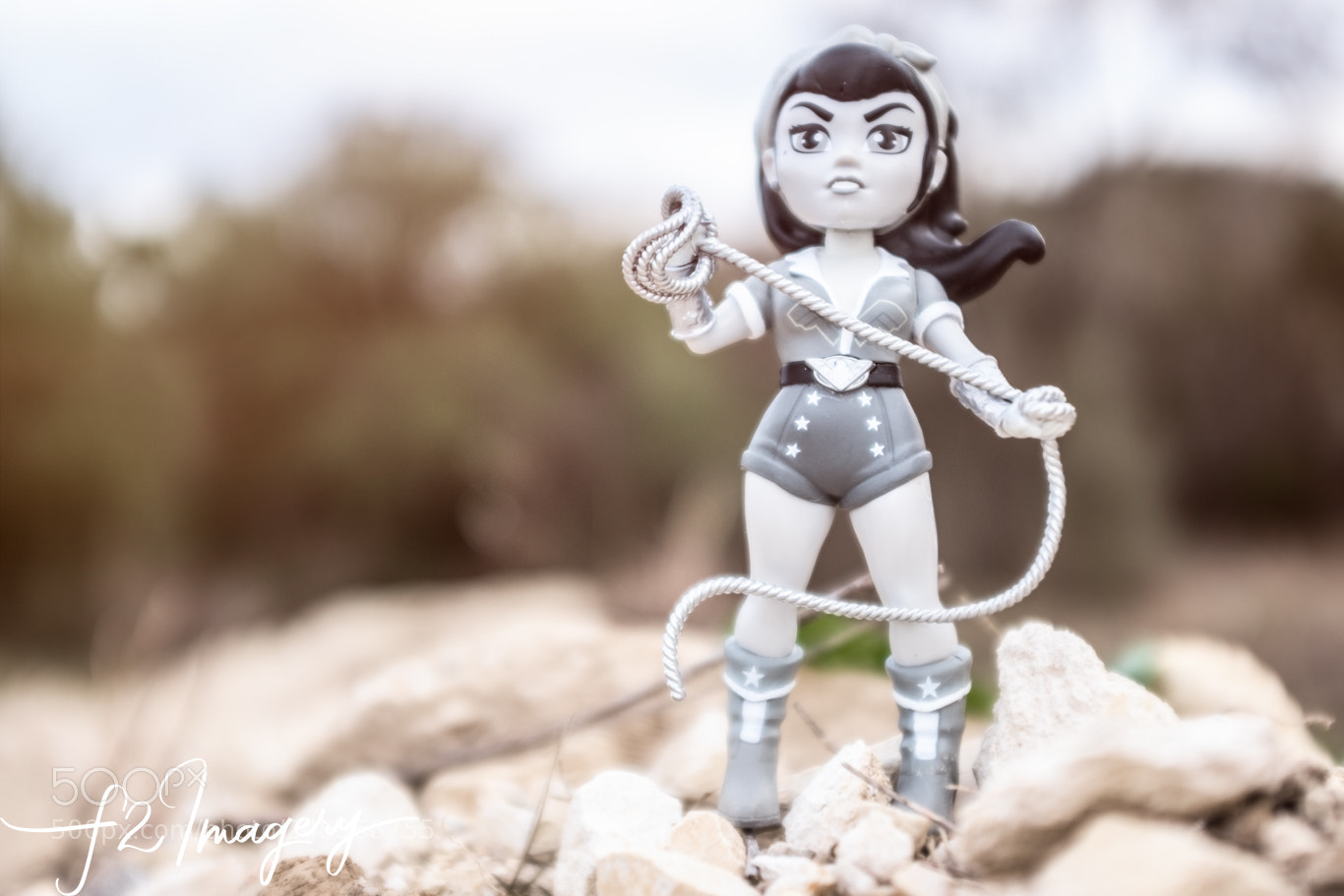 Fujifilm X100T sample photo. Funko rock candy dc photography