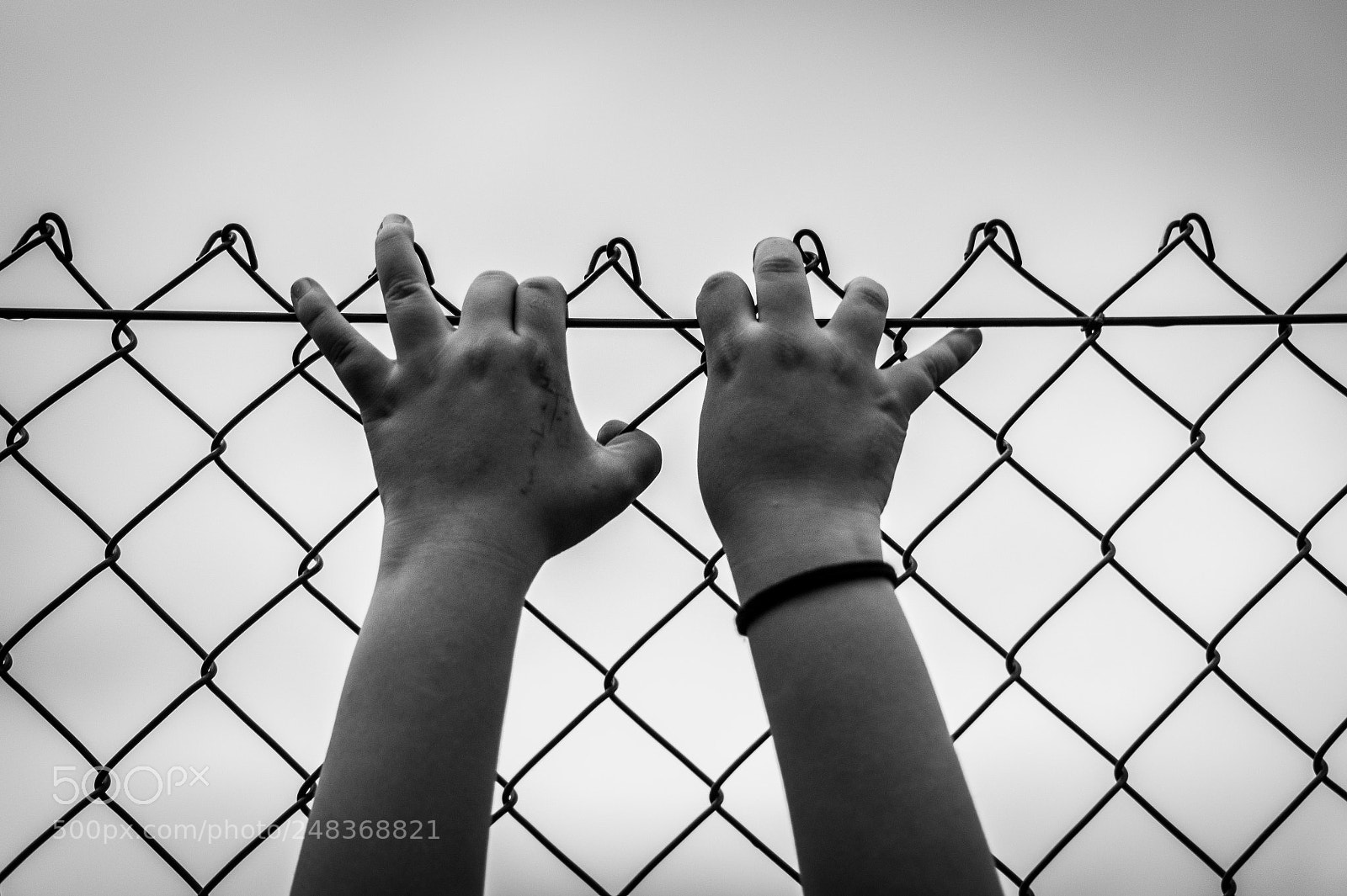 Sony SLT-A58 sample photo. Hands of freedom photography
